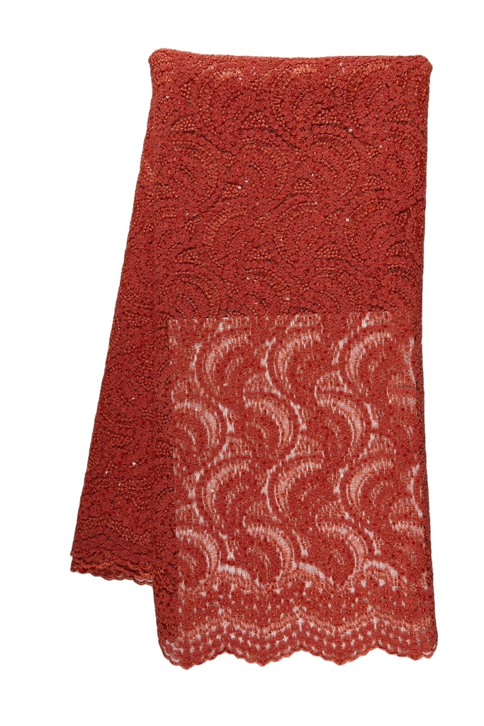 Embroidered Allover with Sequins